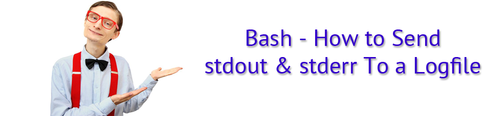 Bash - How to Send stdout & stderr To a Logfile 